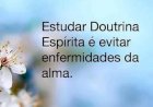 A educação é a essência da doutrina espírita